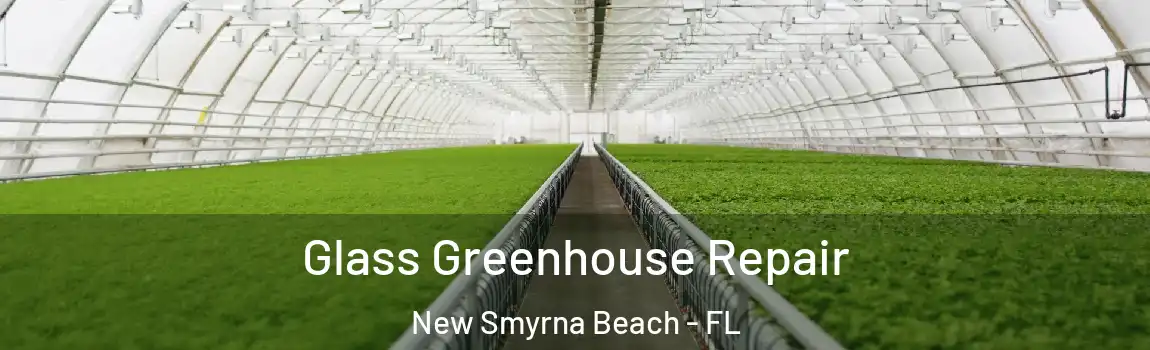 Glass Greenhouse Repair New Smyrna Beach - FL